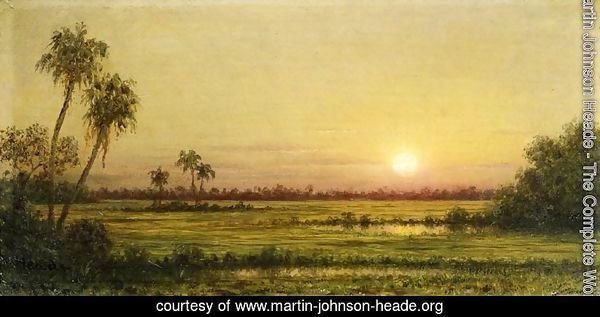 Sunset In Florida