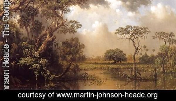 Martin Johnson Heade - The Great Florida Marsh