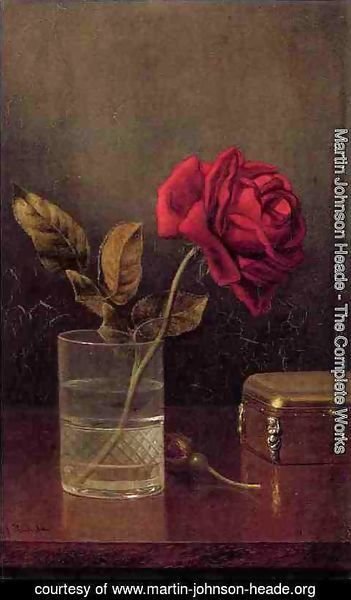 Martin Johnson Heade - The Queen Of Roses