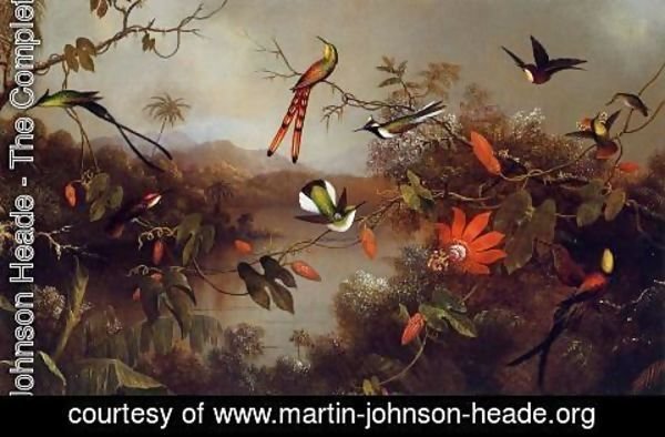 Martin Johnson Heade - Tropical Landscape With Ten Hummingbirds