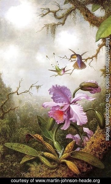 Martin Johnson Heade - Two Hummingbirds And A PinkOrchid