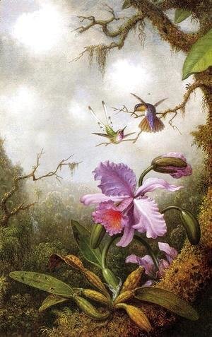 Martin Johnson Heade - Two Hummingbirds And A PinkOrchid