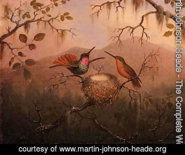 Martin Johnson Heade - Two Hummingbirds At A Nest