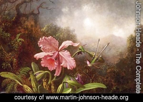 Martin Johnson Heade - Two Hummingbirds By An Orchid