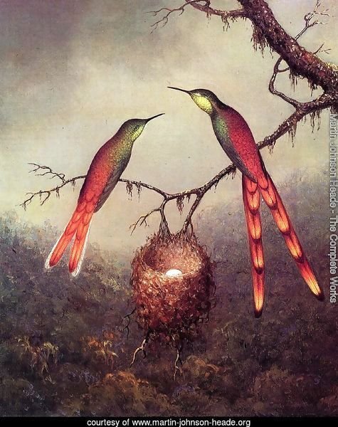 Two Hummingbirds Garding An Egg