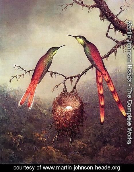 Martin Johnson Heade - Two Hummingbirds Garding An Egg
