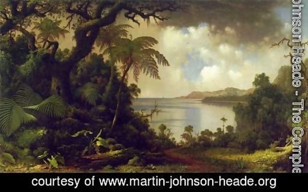 Martin Johnson Heade - View From Fern Tree Walk  Jamaica