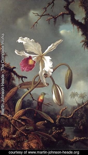 Martin Johnson Heade - White Brazilian Orchid
