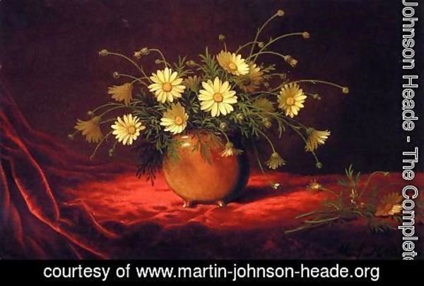 Martin Johnson Heade - Yellow Daisies In A Bowl