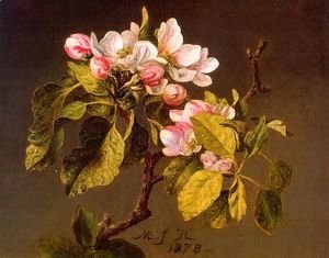 Martin Johnson Heade - Apple Blossoms